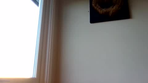 Snapshot of hototo2 chatting on 11/25/25, 11:32 hototo2 online show from 11/25/25, 11:32