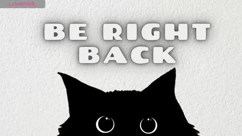 stiven online show from 02/12/25, 01:52