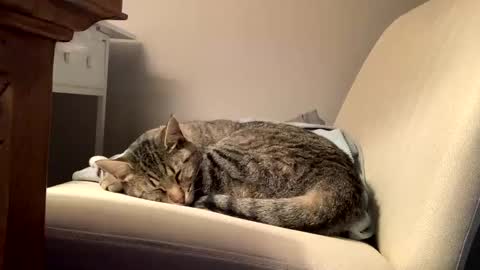 hottiewithabody101 online show from 02/11/26, 02:44