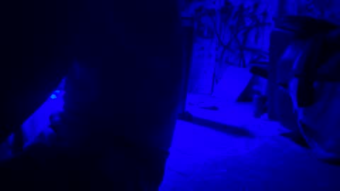 Snapshot of howbowdadareboy33 chatting on 04/21/26, 01:42 ask me online show from 04/21/26, 01:42