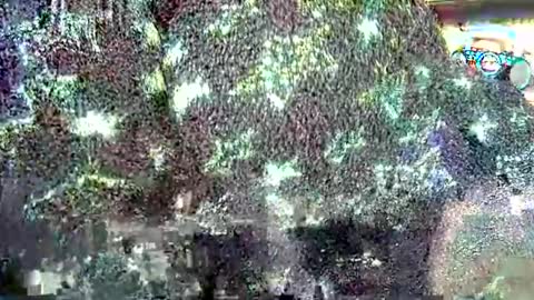 hp58649blabla online show from 09/24/25, 07:55