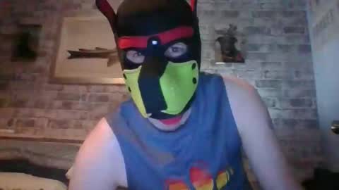 Snapshot of hudson_the_irish_pup chatting on 04/02/26, 12:41 Hudson the puppy play online show from 04/02/26, 12:41