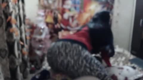 Snapshot of hugeassdevil chatting on 01/23/25, 05:42 hugeassdevil online show from 01/23/25, 05:42