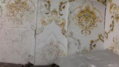 Bella Fox online show from 10/15/25, 09:09