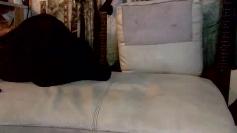 huippari online show from 12/08/24, 10:30