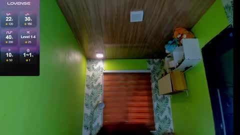 Snapshot of hungasiangirl chatting on 12/02/24, 03:04 help me make 25000 tokens for my mother HEARING aid online show from 12/02/24, 03:04