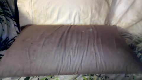 Snapshot of hungc2c420 chatting on 06/12/26, 08:02 hung420boner online show from 06/12/26, 08:02
