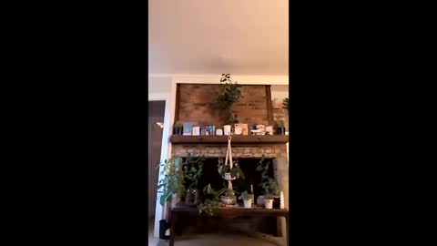 hungitalian40 online show from 01/15/26, 01:26