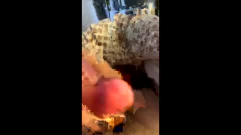 Snapshot of hungminer69 chatting on 04/12/26, 01:43 hungminer69 online show from 04/12/26, 01:43