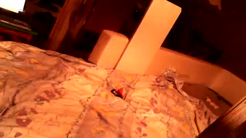 Snapshot of hungryanalslut chatting on 02/18/25, 10:58 hungryanalslut online show from 02/18/25, 10:58