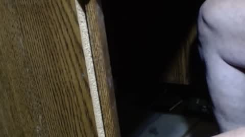 hungsofine online show from 12/15/24, 09:09