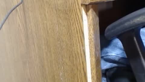 hungsofine online show from 12/23/24, 09:40