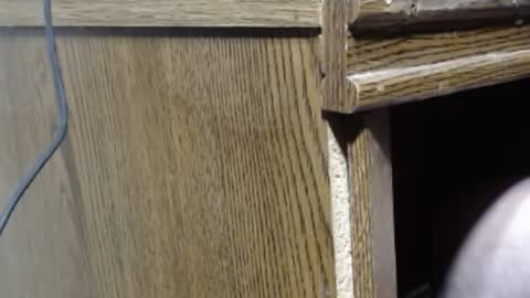 hungsofine online show from 12/26/24, 07:27