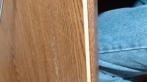 hungsofine online show from 01/08/25, 06:52