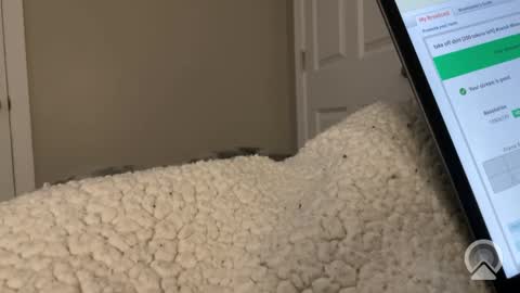 hungtwinkcock1 online show from 03/17/26, 12:41