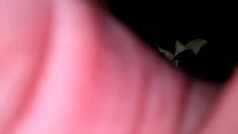 Snapshot of hunk1987_ chatting on 04/27/26, 04:32 hunk1987_ online show from 04/27/26, 04:32