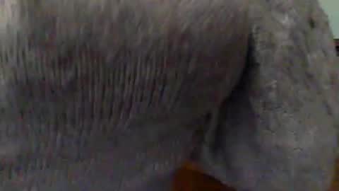 Snapshot of hunyybunz chatting on 03/01/25, 10:10 Goddess Hunyy online show from 03/01/25, 10:10