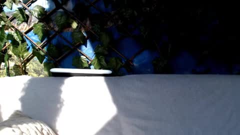 Kayla online show from 03/03/25, 08:38