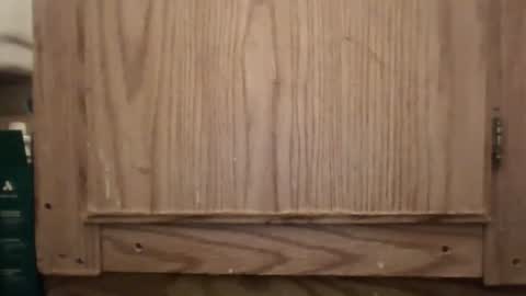 Hybrid Lover419 online show from 02/13/26, 05:36