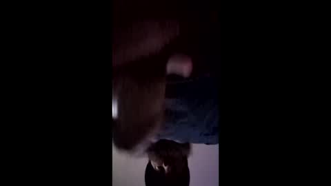 iamchango online show from 03/14/26, 03:28