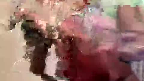 First Lady online show from 02/14/25, 09:21