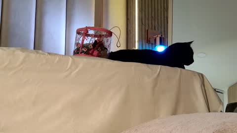 Nyxy online show from 11/20/25, 10:04