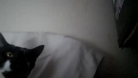 iamryan995442 online show from 04/07/26, 05:35