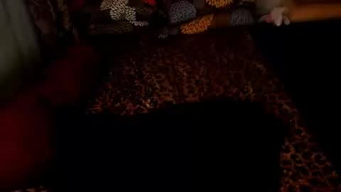 MADAM  MISTRESS ASIANA online show from 12/26/24, 02:27