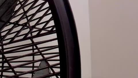 Snapshot of ian_castillo_ chatting on 02/11/26, 11:15 IAN CASTILLO online show from 02/11/26, 11:15