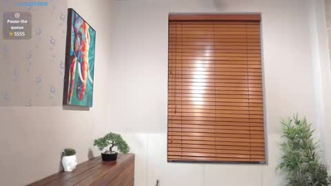 Ian Davis online show from 01/27/25, 01:59