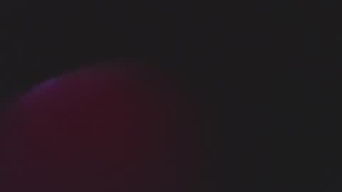  iara smith  online show from 02/15/26, 12:03