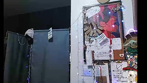 Snapshot of ibpms247 chatting on 12/30/24, 03:47 PMS online show from 12/30/24, 03:47