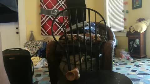 idksohorny online show from 12/20/24, 04:36