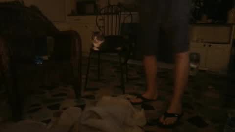 idksohorny online show from 12/21/24, 06:41