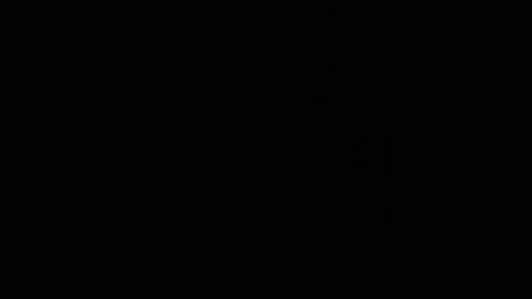 idksohorny online show from 02/15/25, 07:38