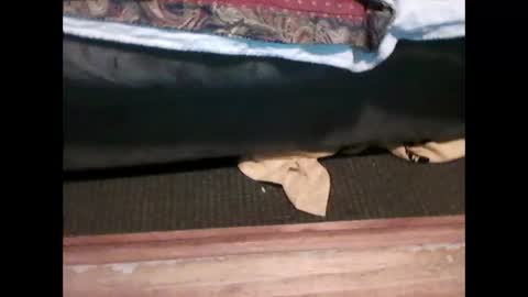 idkwhyidothis348732 online show from 01/05/25, 06:02