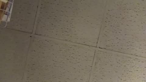 Snapshot of igcognito647033 chatting on 02/20/26, 07:54 igcognito647033 online show from 02/20/26, 07:54