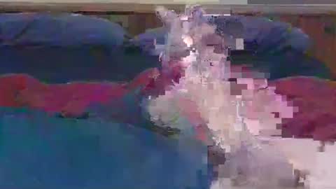 ihavebigballs00 online show from 12/17/24, 03:06