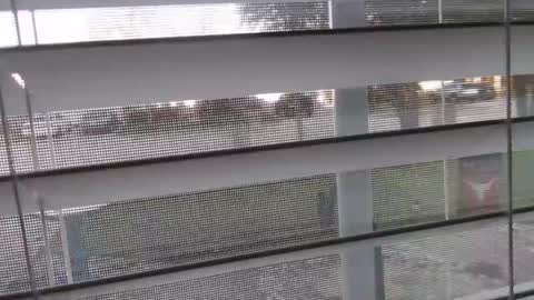 Snapshot of ijacker chatting on 01/01/25, 10:56 Michael online show from 01/01/25, 10:56