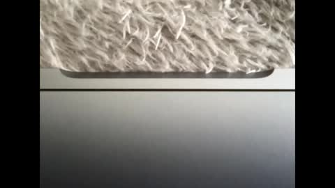 Snapshot of ijaisi chatting on 09/14/25, 01:43 Morvoys online show from 09/14/25, 01:43