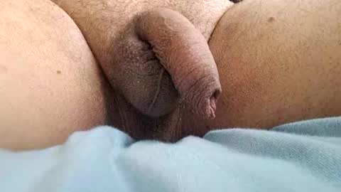 Snapshot of ikbenzo chatting on 12/08/24, 10:41 ikbenzo online show from 12/08/24, 10:41