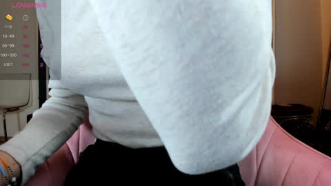 illegal_lorry online show from 12/20/24, 04:42