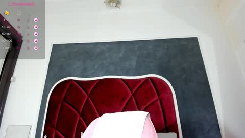 illegal_lorry online show from 12/20/24, 10:49