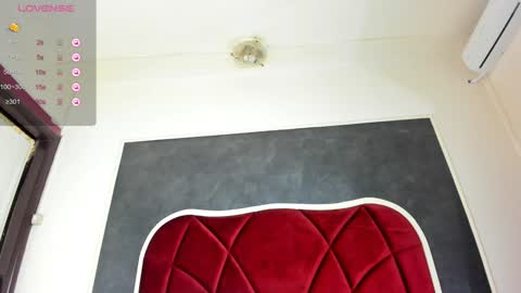 illegal_lorry online show from 01/17/25, 08:02