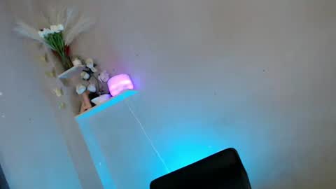 Snapshot of im_too_sexy chatting on 10/06/25, 04:10 Megan online show from 10/06/25, 04:10