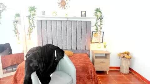 im_tulipan online show from 02/25/26, 07:56