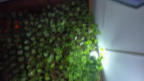 im_xandersmith online show from 05/26/26, 08:38
