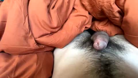 imakeucumonmyface online show from 02/25/26, 09:24