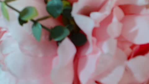 Carrie online show from 01/25/25, 05:07