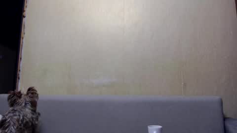 Snapshot of imelissa8malis chatting on 01/06/26, 03:27 irina online show from 01/06/26, 03:27